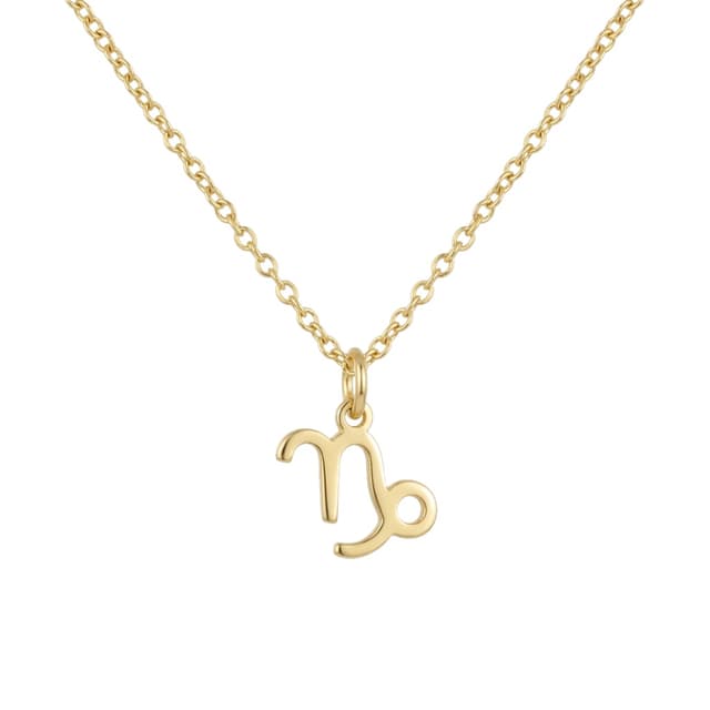 Tiny Capricorn Necklace