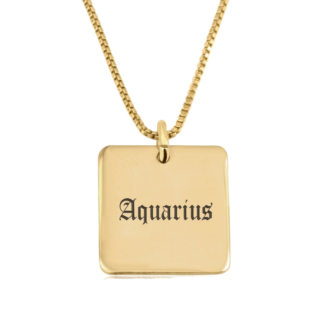 Aquarius Charm Necklace