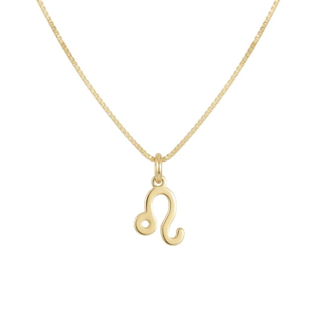 A Leo zodiac necklace