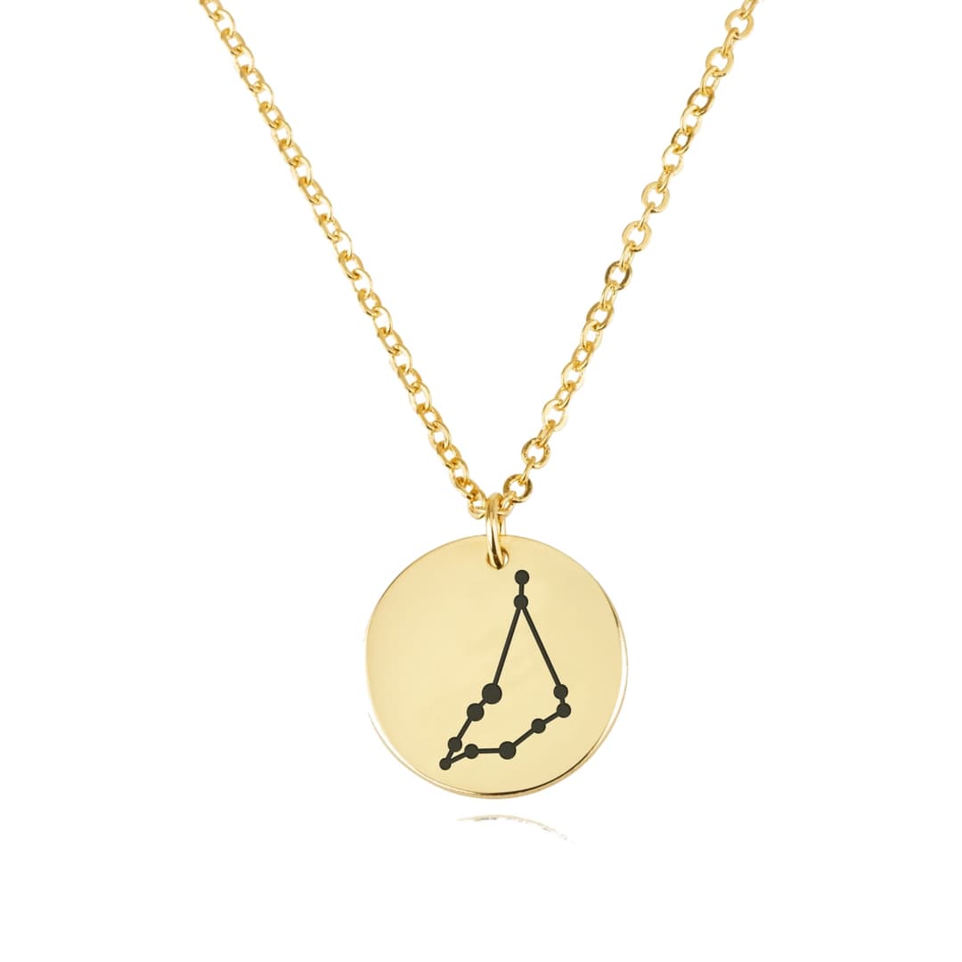 Capricorn Celestial Constellation Disk Necklace