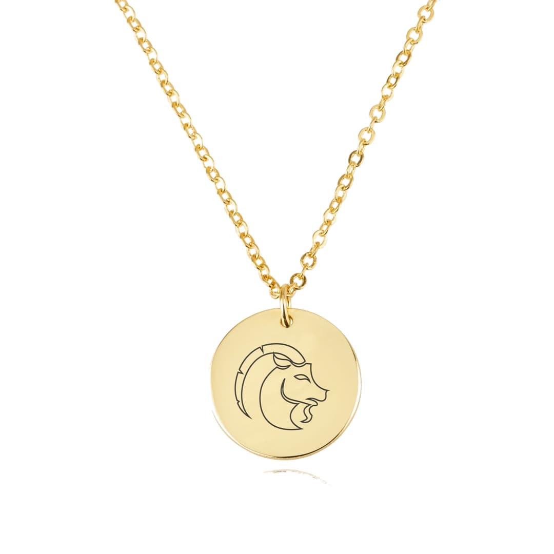 Capricorn Zodiac Disk Necklace