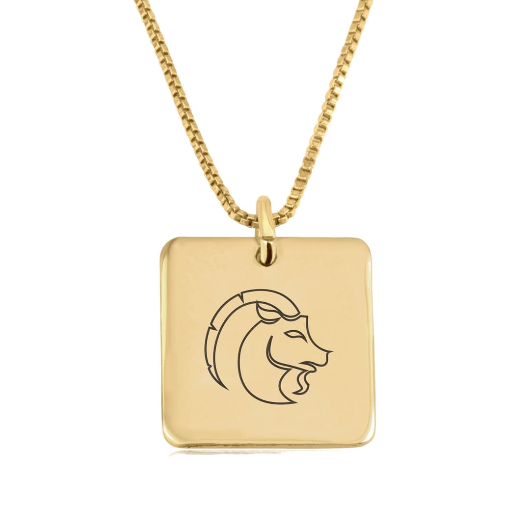 Capricorn Zodiac Necklace