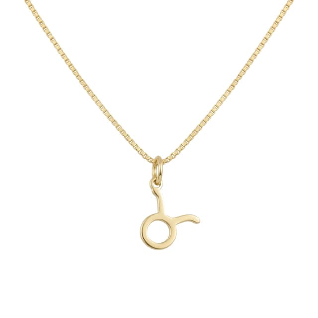 Tiny Taurus Necklace