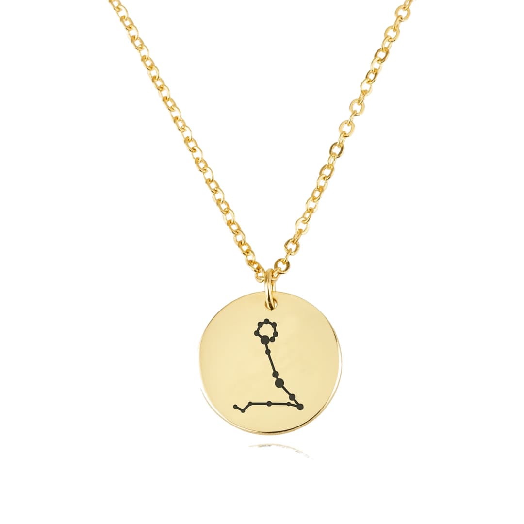 Pisces Celestial Constellation Disk Necklace