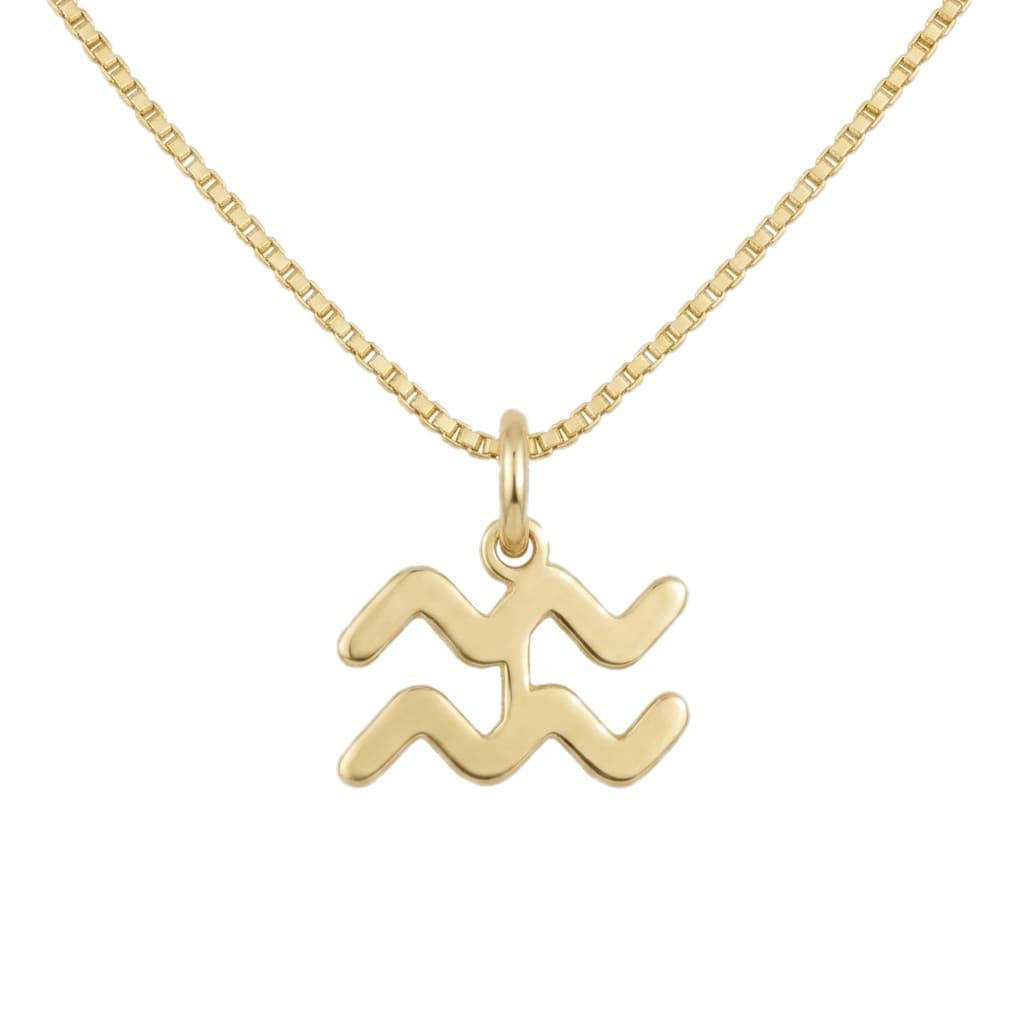 Tiny Aquarius Necklace